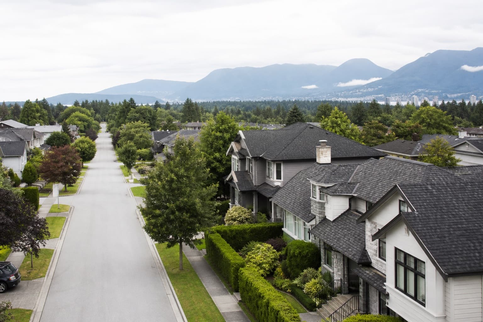 A quiet residential street of houses